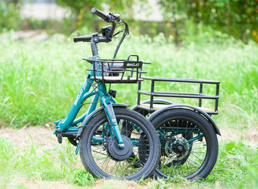 New Modern Trends E-Trikes Bison S (New Model) has a shorter ride height than the Caddy Pro.